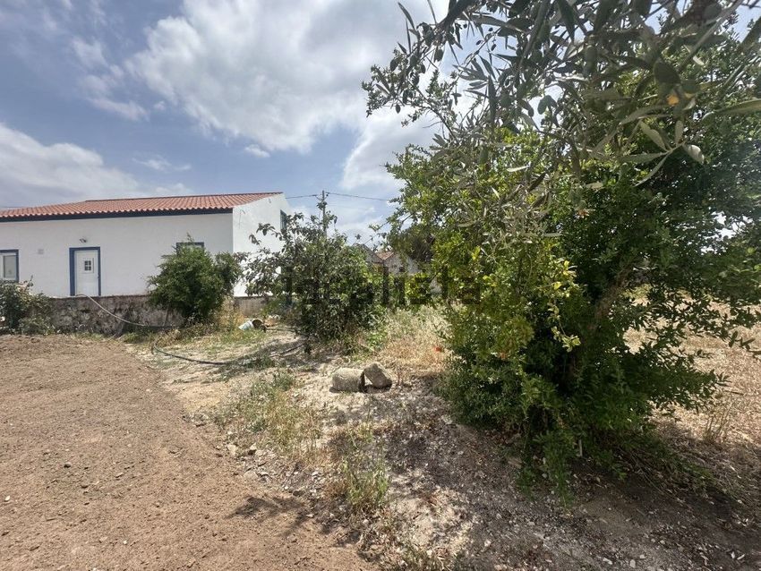 Moradia T6+ à venda em Alvega e Concavada, Abrantes — foto 18