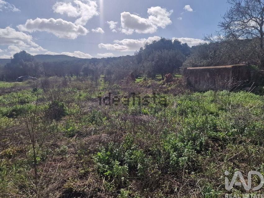 Moradia T3 à venda em Salir, Loulé — foto 11