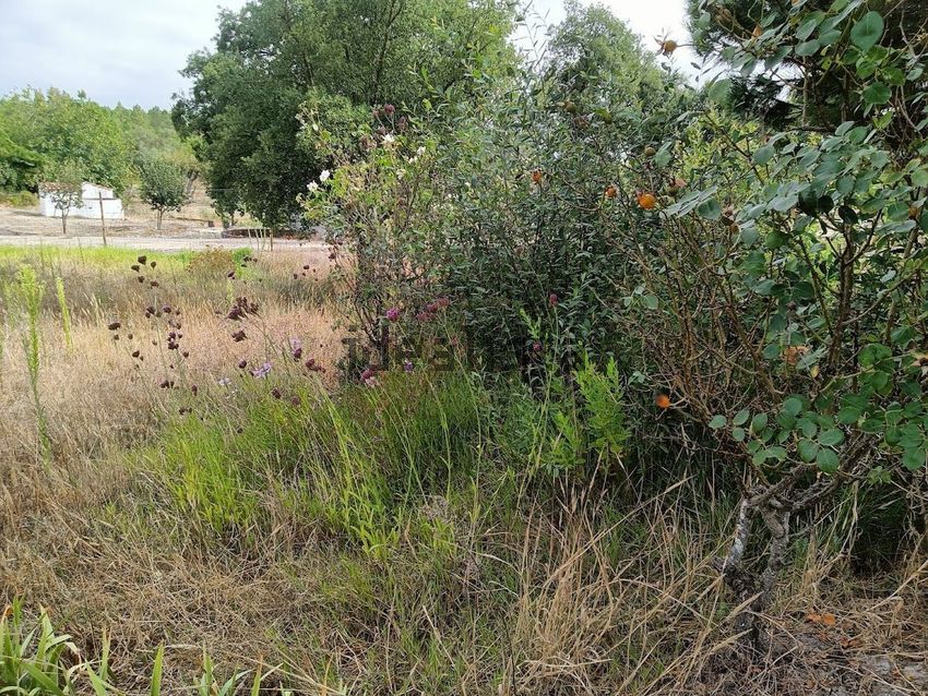 Moradia T2 à venda em Santana do Mato, Coruche — foto 28