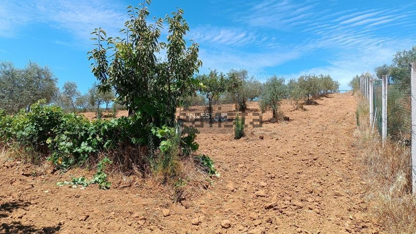 Moradia T3 à venda em Morais, Macedo de Cavaleiros — foto 15
