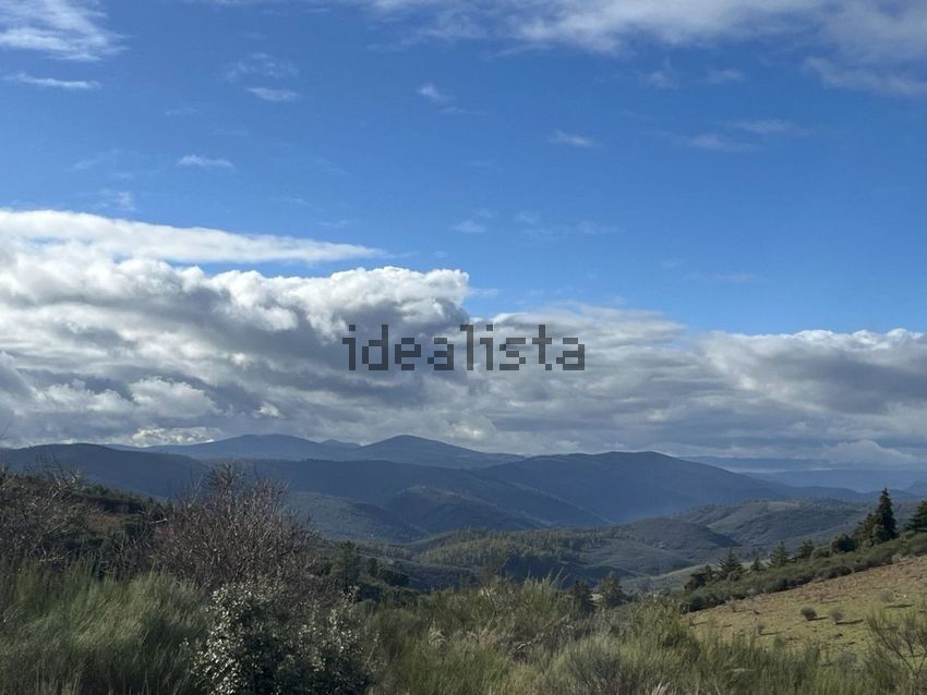 Moradia T4 à venda em Mogadouro, Valverde, Vale de Porco e Vilar de Rei, Mogadouro — foto 18