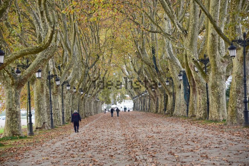 Moradia T2 à venda em Coura, Paredes de Coura — foto 23