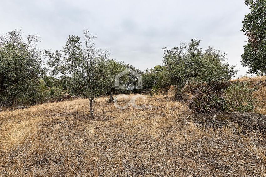 Moradia T2 à venda em Arez e Amieira do Tejo, Nisa — foto 31