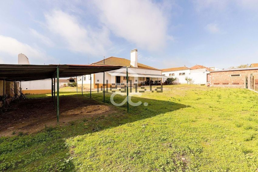 Moradia T6+ à venda em Vila Nova da Baronia, Alvito — foto 30