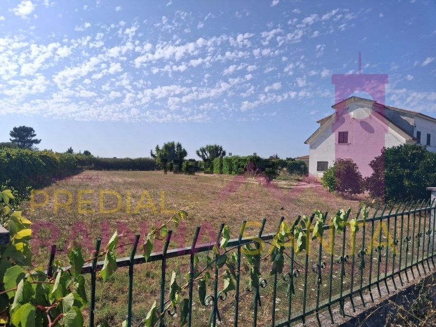 Moradia T4 à venda em Marinhais, Salvaterra de Magos — foto 4
