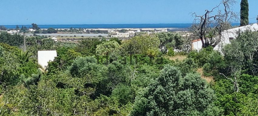 Moradia T1 à venda em Moncarapacho, Olhão — foto 18