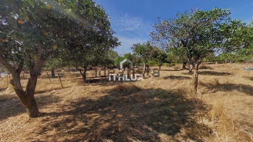 Moradia T2 à venda em São Brás e São Lourenço, Elvas — foto 25