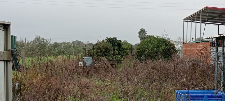Moradia T3 à venda em Marinhais, Salvaterra de Magos — foto 5
