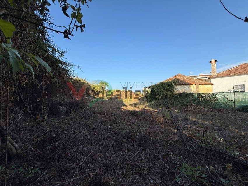 Moradia T6+ à venda em Moita, Anadia — foto 14