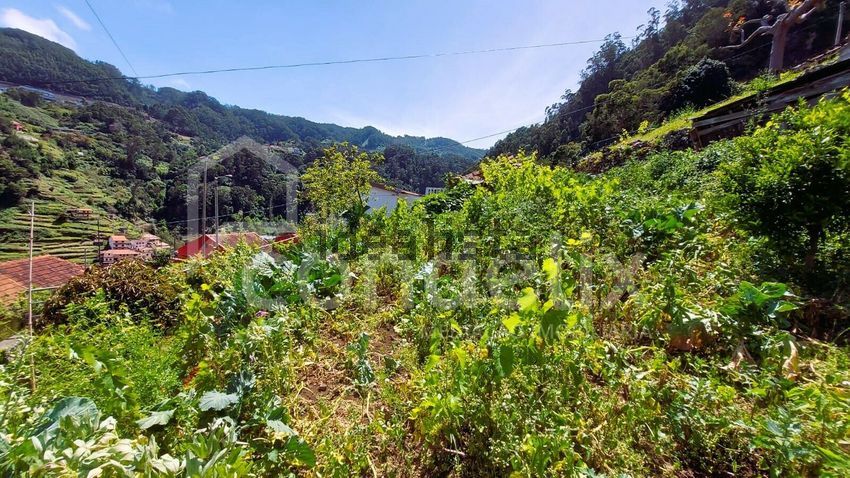 Moradia T2 à venda em Santo António da Serra, Machico — foto 15
