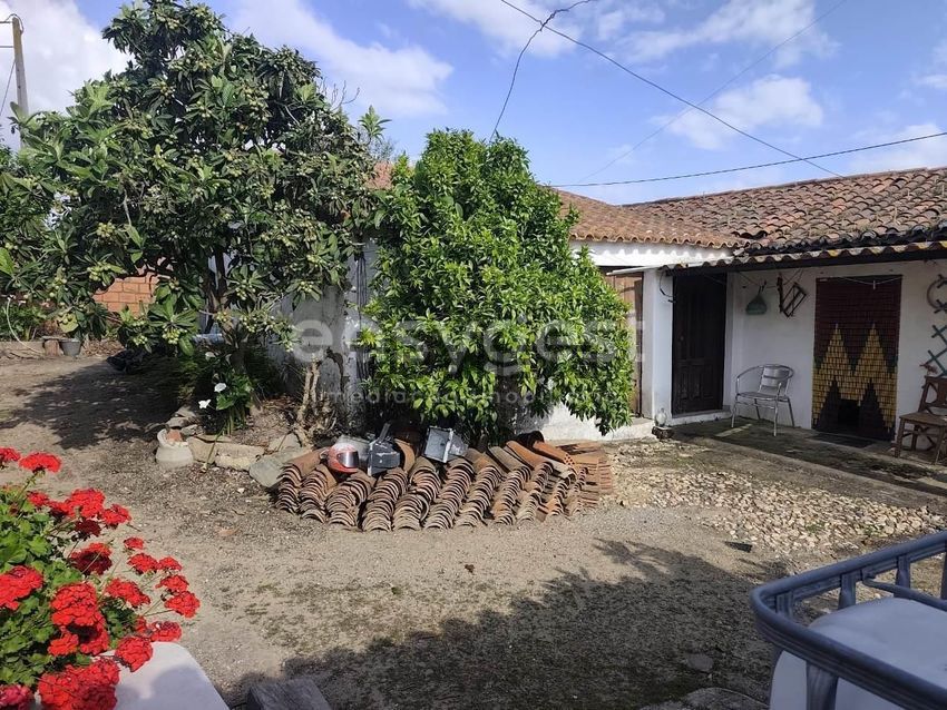 Moradia T4 à venda em São João de Negrilhos, Aljustrel — foto 23