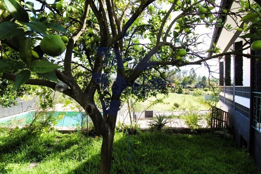 Moradia T3 à venda em Verim, Friande e Ajude, Póvoa de Lanhoso — foto 36
