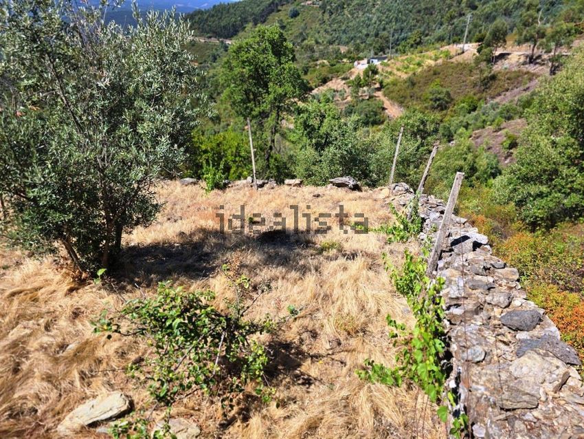 Moradia T0 à venda em Portela do Fojo-Machio, Pampilhosa da Serra — foto 33