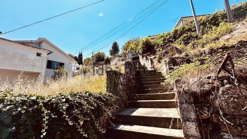 Moradia T6+ à venda em Ribeira de Pena (Salvador) e Santo Aleixo de Além-Tâmega, Ribeira de Pena — foto 18