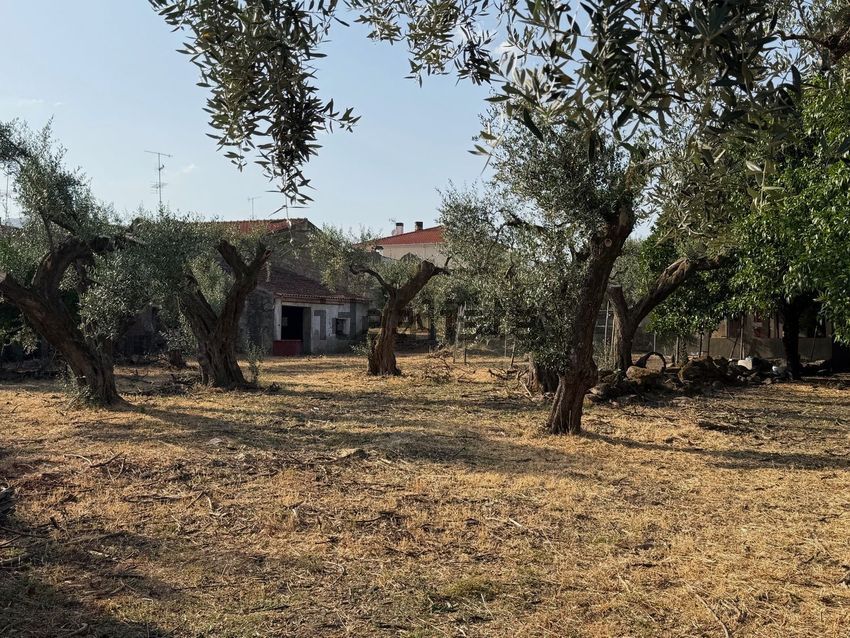 Moradia T6+ à venda em Soalheira, Fundão — foto 6