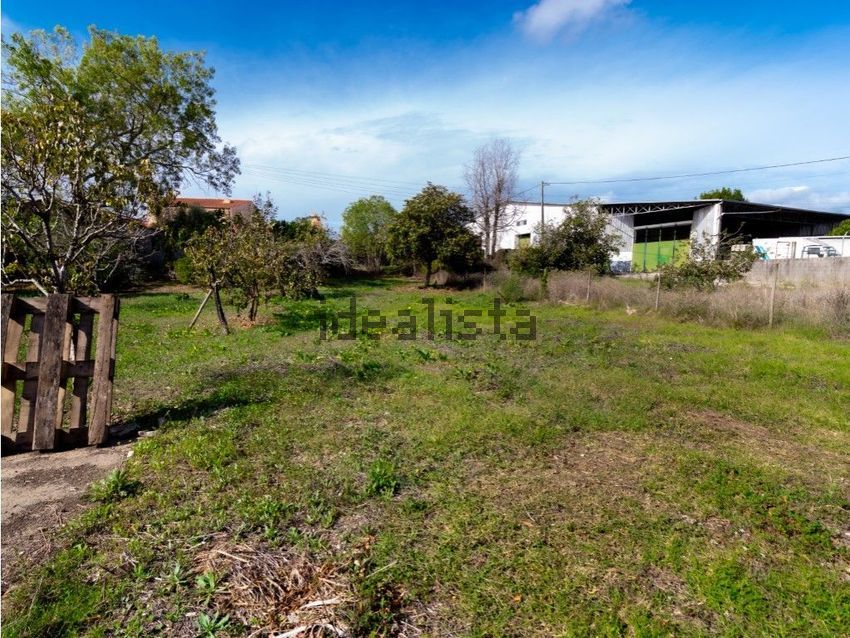 Moradia T3 à venda em Portunhos e Outil, Cantanhede — foto 18