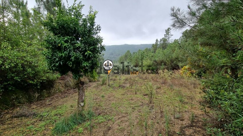Moradia T3 à venda em Almaceda, Castelo Branco — foto 22