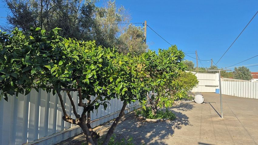 Moradia T5 à venda em Gafanhoeira (São Pedro), Arraiolos — foto 15