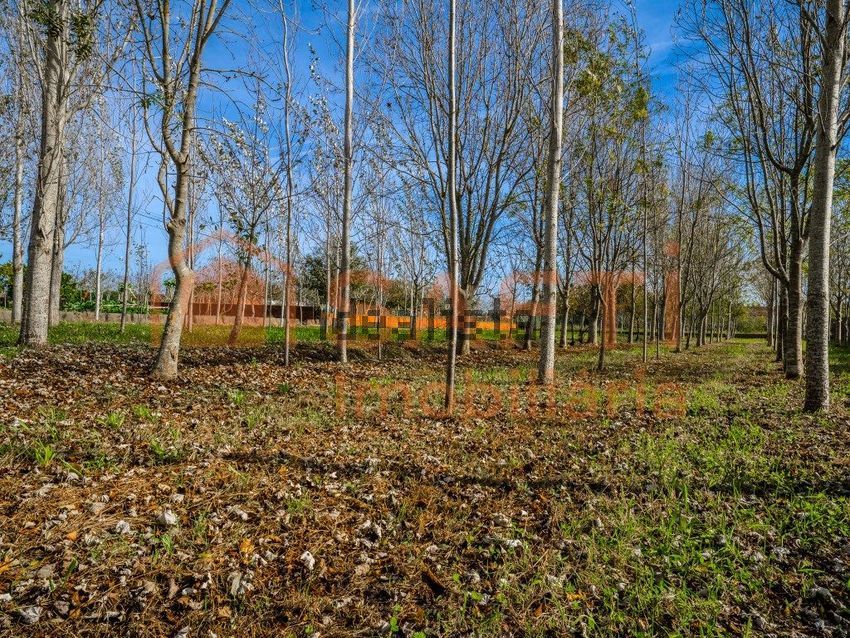 Moradia T5 à venda em Carriço, Pombal — foto 35