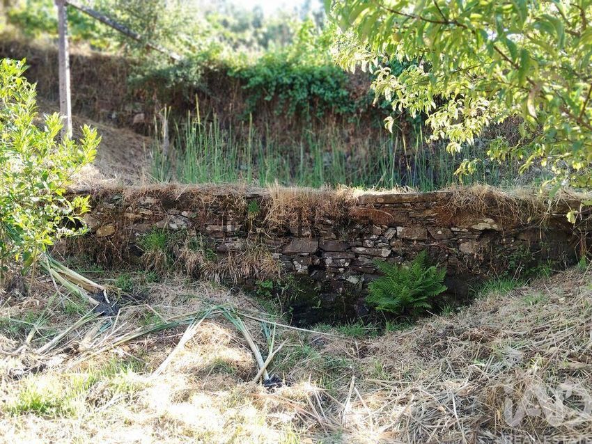 Moradia T3 à venda em Madeirã, Oleiros — foto 23