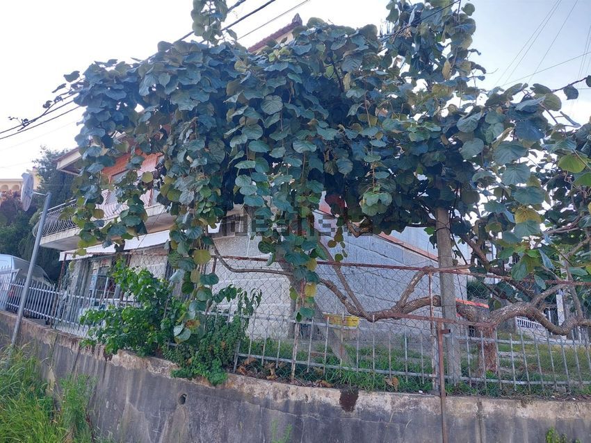 Moradia T3 à venda em Ronfe, Guimarães — foto 6