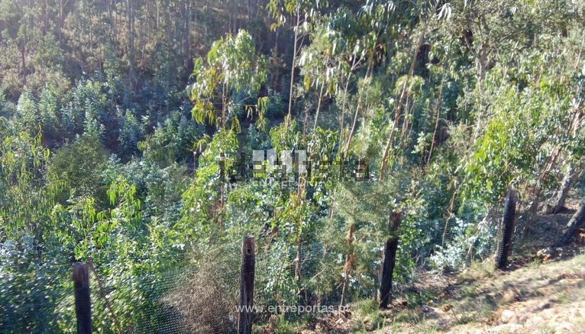 Moradia T1 à venda em Vilar de Mouros, Caminha — foto 9