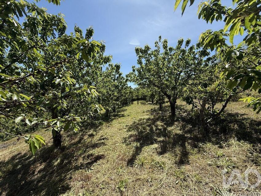 Moradia T4 à venda em Gestaçô, Baião — foto 27