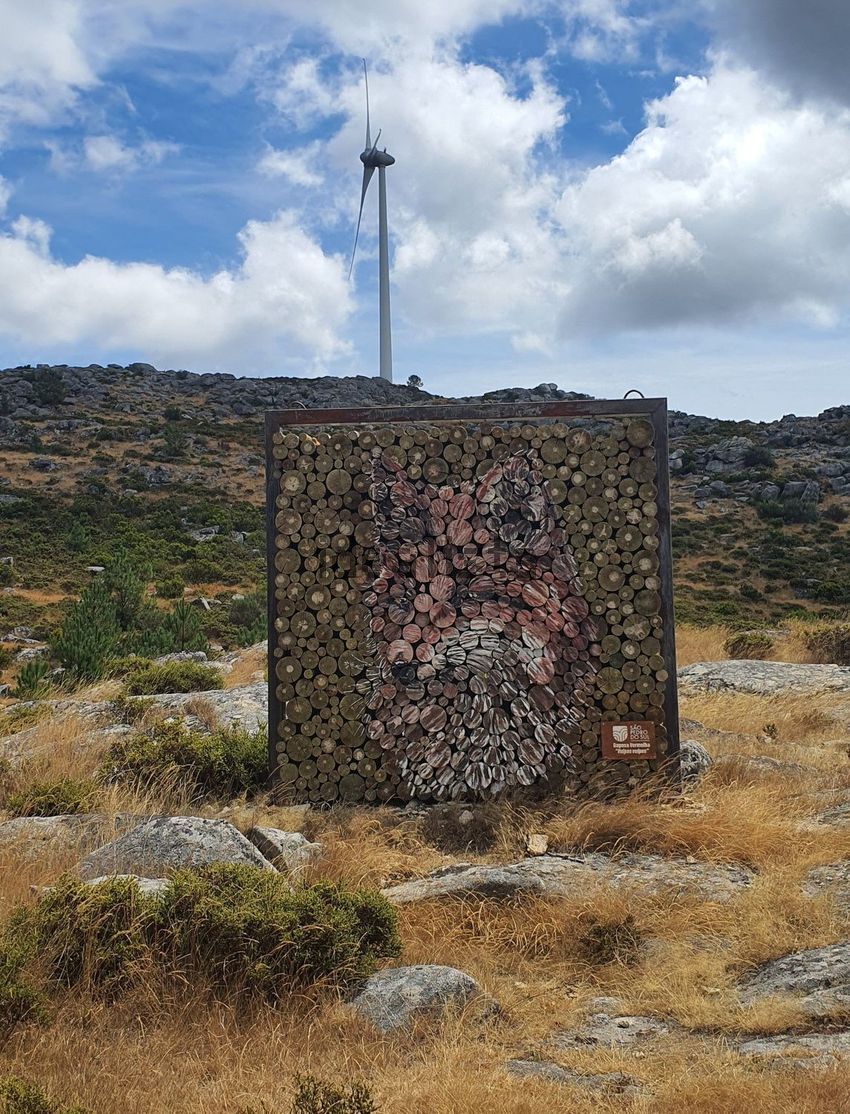 Moradia T1 à venda em Carvalhais e Candal, São Pedro do Sul — foto 18