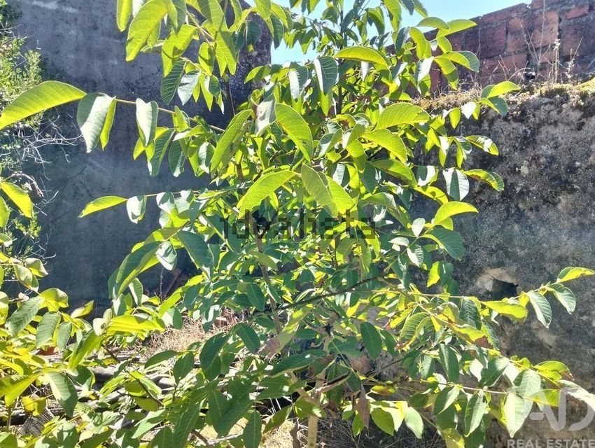 Moradia T3 à venda em Brogueira, Parceiros de Igreja e Alcorochel, Torres Novas — foto 27