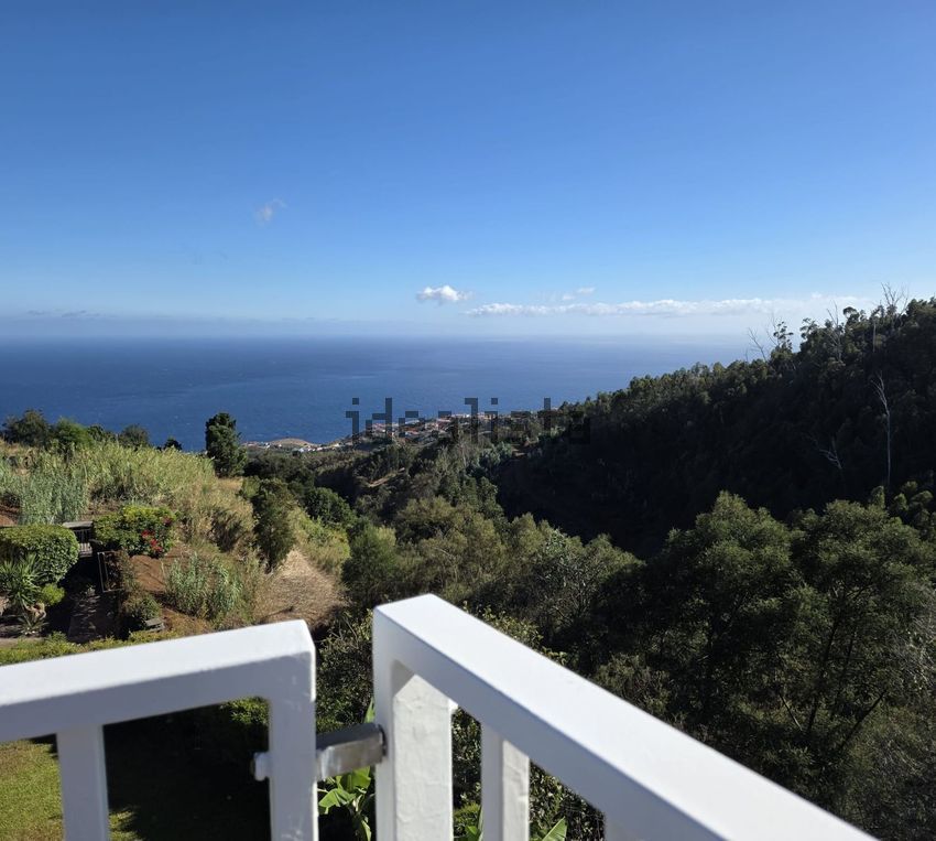 Moradia T3 à venda em Gaula, Santa Cruz — foto 10