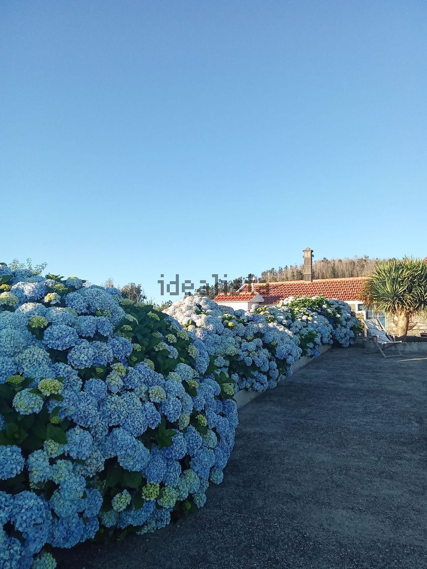 Moradia T2 à venda em Fajã da Ovelha, Calheta — foto 40