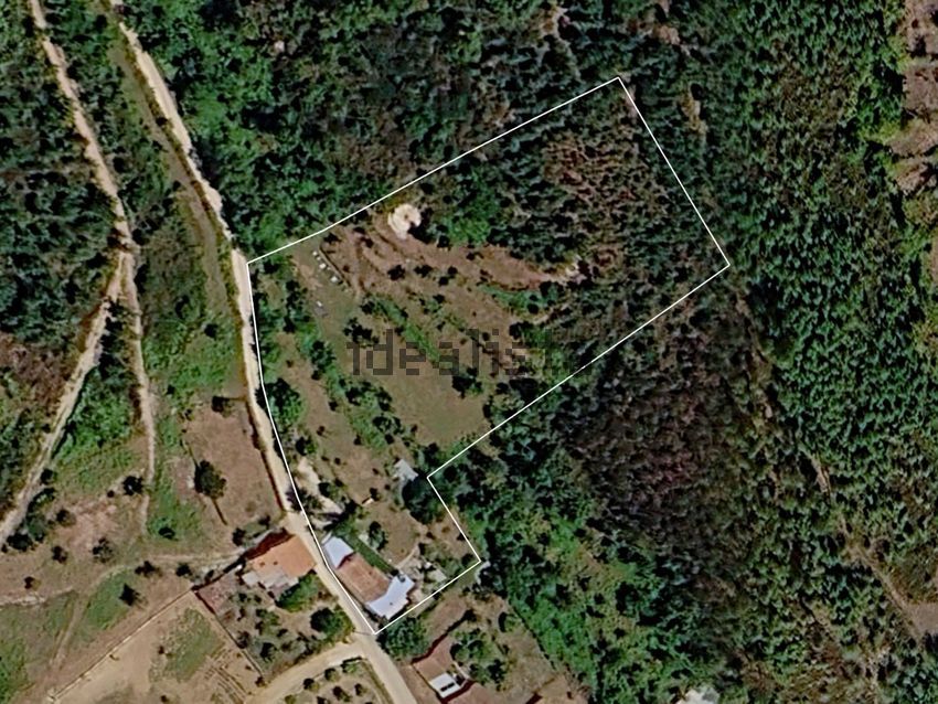 Moradia T3 à venda em Côja e Barril de Alva, Arganil — foto 10