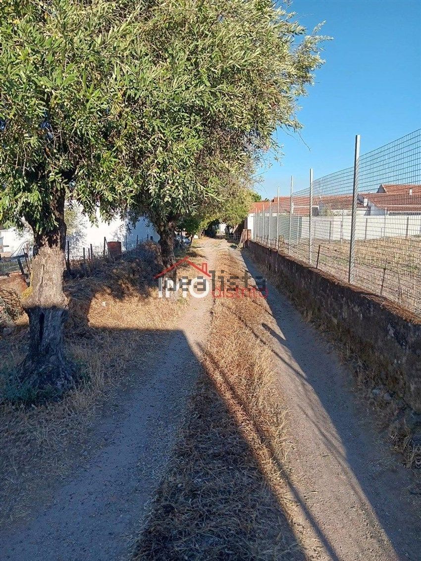 Moradia T3 à venda em Alpalhão, Nisa — foto 11