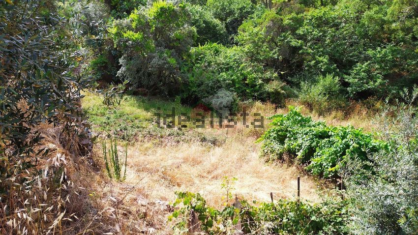 Moradia T2 à venda em Portela do Fojo-Machio, Pampilhosa da Serra — foto 36