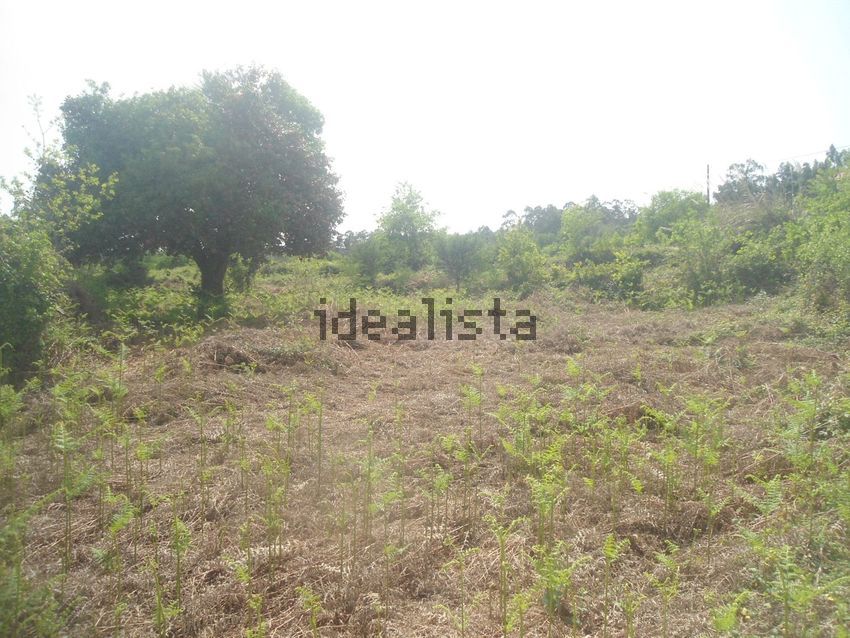 Moradia T0 à venda em Mentrestido, Vila Nova de Cerveira — foto 9