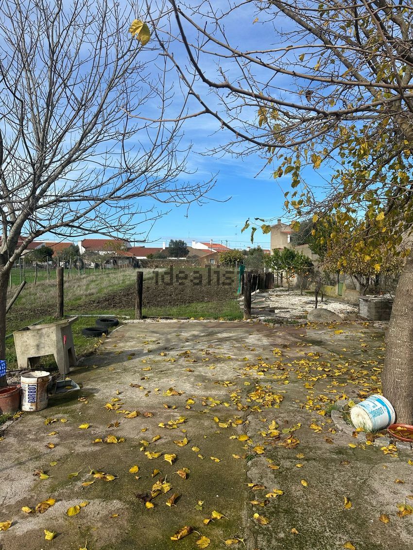Moradia T4 à venda em Campo e Campinho, Reguengos de Monsaraz — foto 21