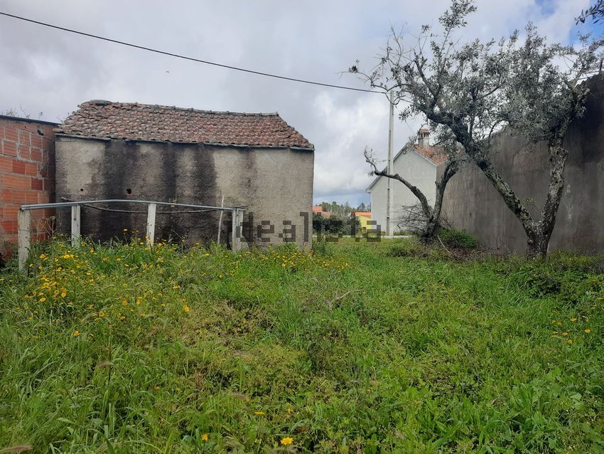 Moradia T1 à venda em Santo André das Tojeiras, Castelo Branco — foto 2