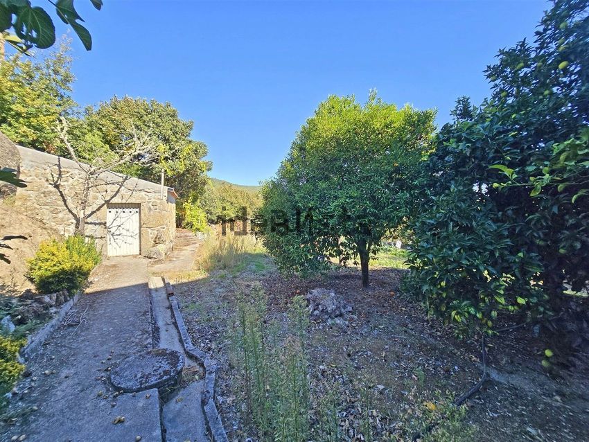 Moradia T4 à venda em Real, Penalva do Castelo — foto 27