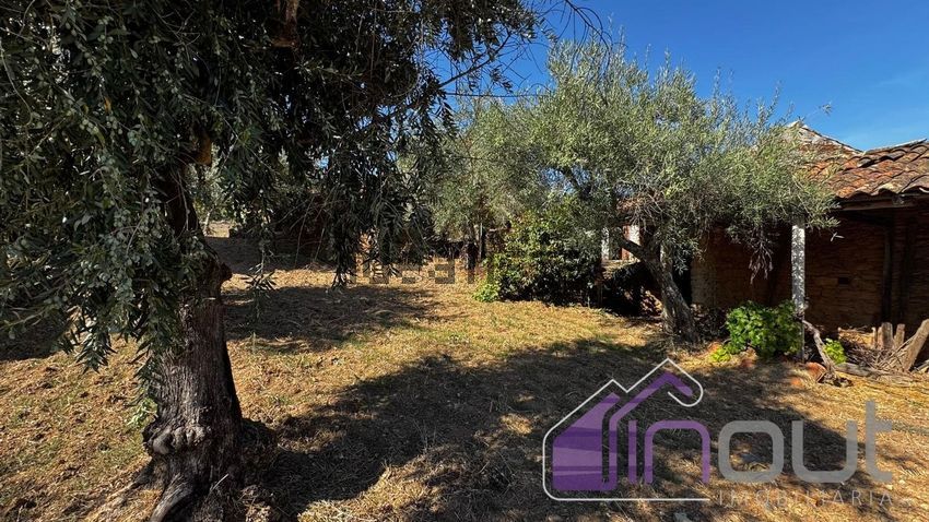 Moradia T1 à venda em Sarzedas, Castelo Branco — foto 26
