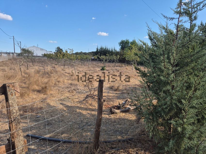 Moradia T3 à venda em Aldeia dos Fernandes, Almodôvar — foto 11