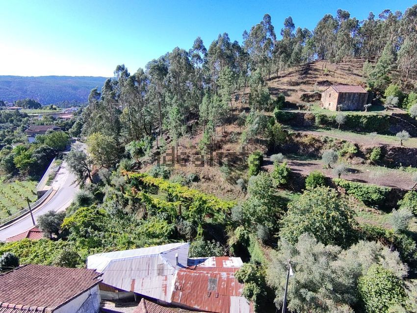 Moradia T5 à venda em Codeçoso, Celorico de Basto — foto 29
