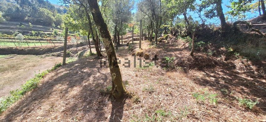 Moradia T2 à venda em Salamonde, Vieira do Minho — foto 25