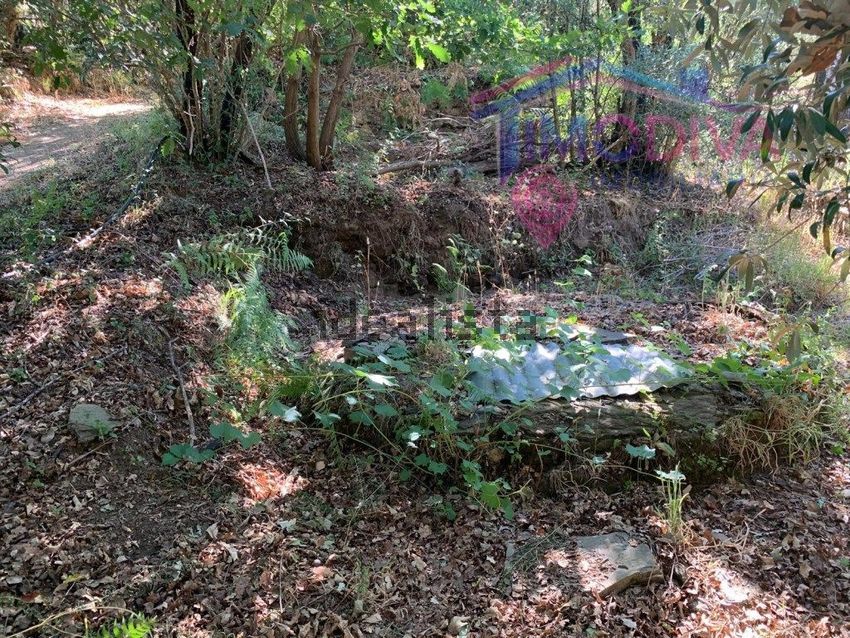 Moradia T1 à venda em Vila Facaia, Pedrógão Grande — foto 28