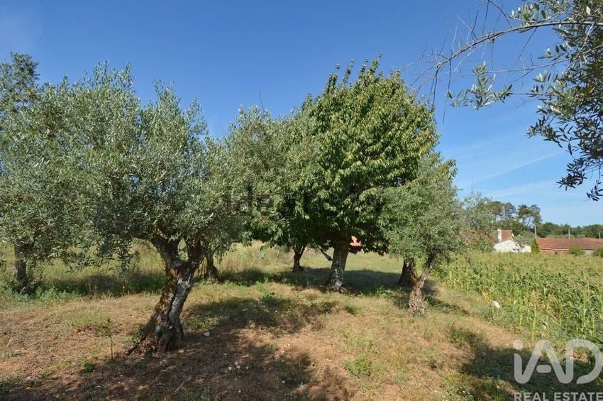 Moradia T2 à venda em Alvorge, Ansião — foto 21