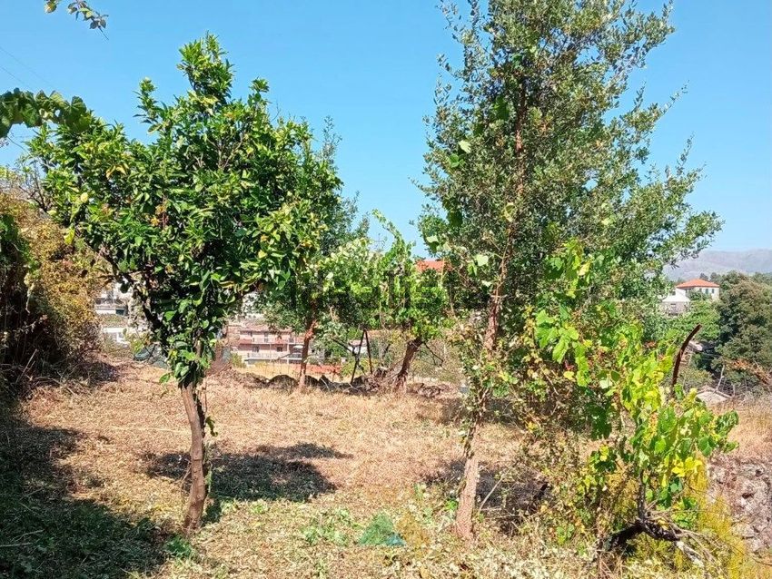 Moradia T1 à venda em Soajo, Arcos de Valdevez — foto 19