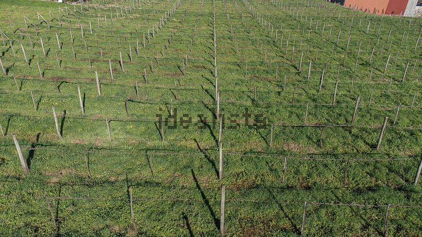 Moradia T4 à venda em Cruz, Vila Nova de Famalicão — foto 21