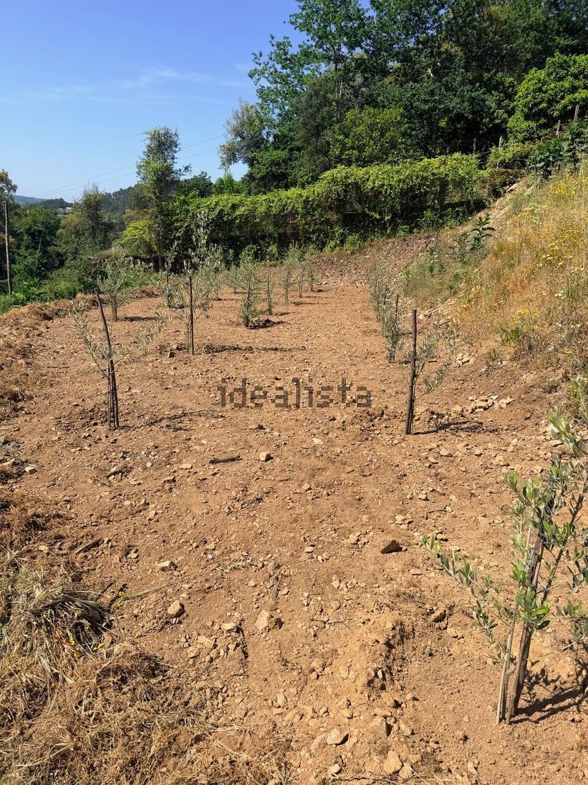 Moradia T6+ à venda em Castelões, Tondela — foto 22