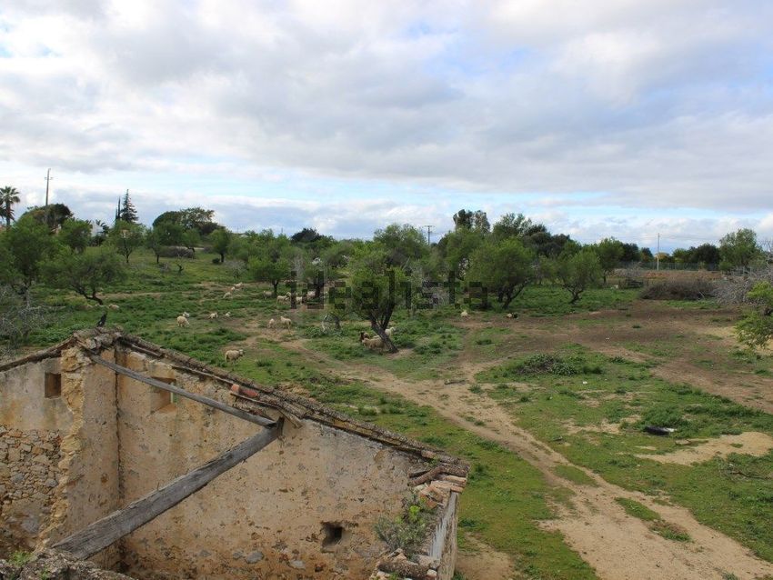 Moradia T6+ à venda em Santa Luzia, Tavira — foto 23