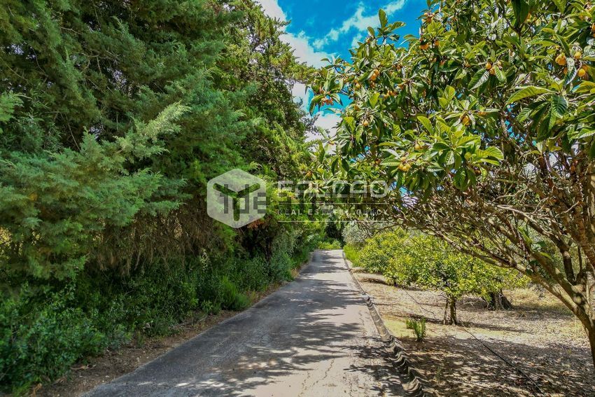 Moradia T4 à venda em Moçarria, Santarém — foto 8