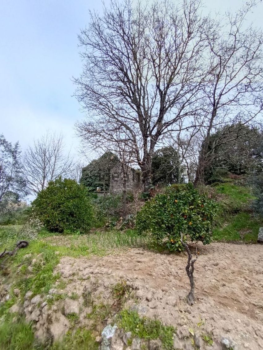 Moradia T2 à venda em Quintela de Azurara, Mangualde — foto 15